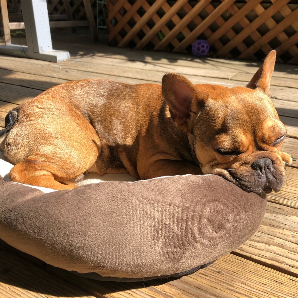 Meet your Posher, Samantha